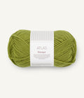 Matcha/9564